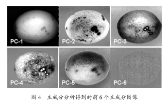 1667961921639207.png 圖片5.png