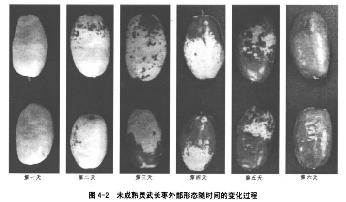 1685501213114390.png 圖片3.png