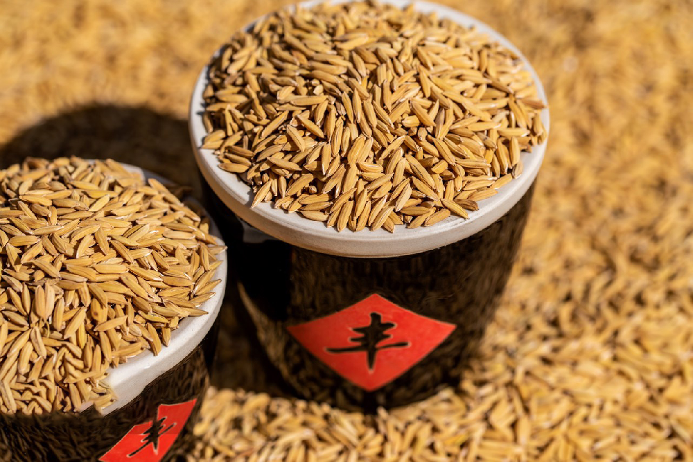 基于高光譜成像技術(shù)的稻谷品種鑒別研究