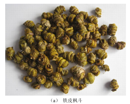 1673859952561313.png 圖片4.png