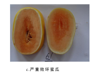 1680857031170422.png 圖片3.png