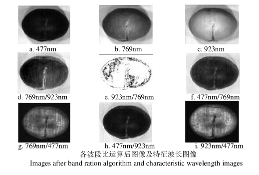 1681112159509844.png 圖片6.png
