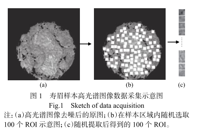 1686012666103519.png 圖片2.png