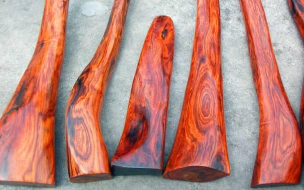 基于高光譜相機成像技術的紅酸枝品種識別