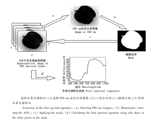 1705563097203765.png image.png