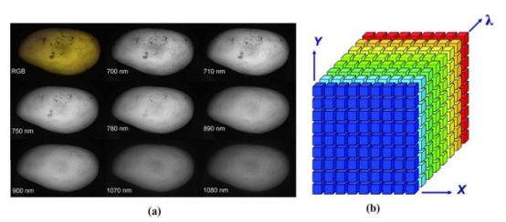 1711420044197291.png image.png