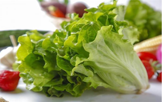 基于高光譜圖像的生菜葉部病害檢測方法研究