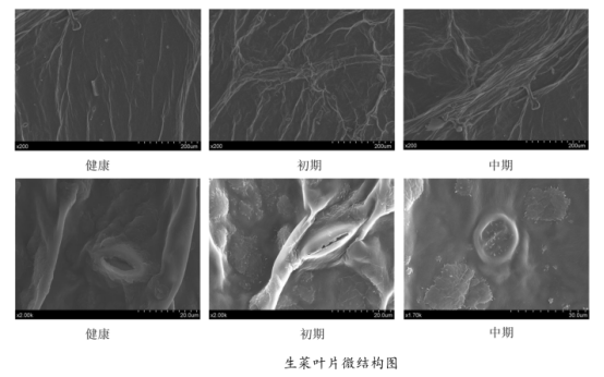 1716518332201575.png image.png