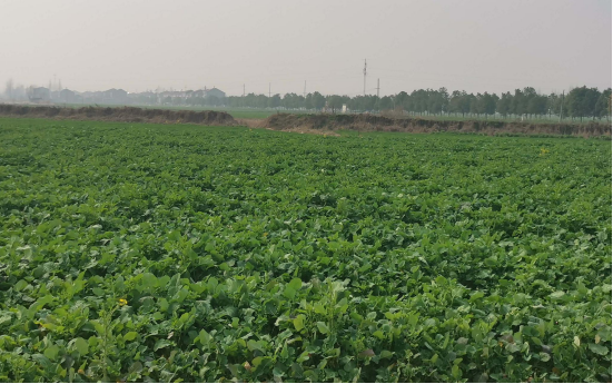 1720680004170317.png image.png