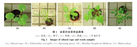 1720680023287688.png image.png