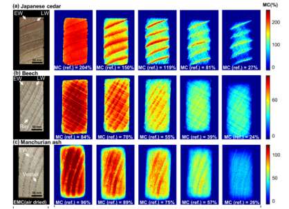 1733880285141332.png image.png