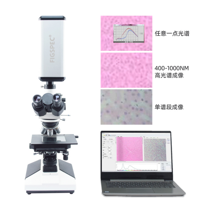 1756522603326724.png image.png