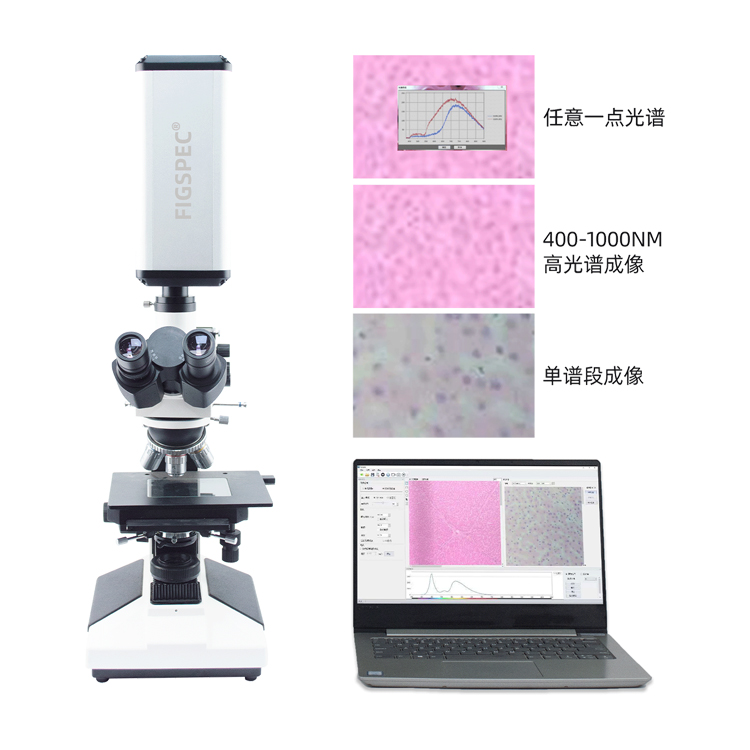 細(xì)胞組織修復(fù)監(jiān)測(cè)高光譜相機(jī)推薦什么品牌？