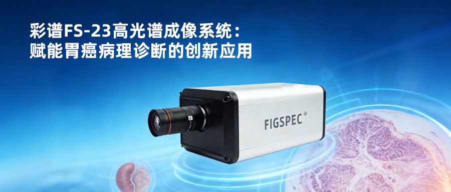 彩譜FS-23高光譜成像系統(tǒng)：賦能胃癌病理診斷的創(chuàng)新應(yīng)用