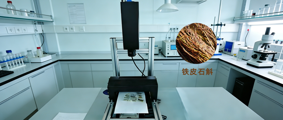 高光譜成像技術(shù)在鐵皮石斛產(chǎn)地鑒別中的應(yīng)用探索