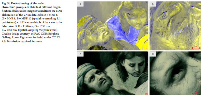 高光譜成像:解鎖文藝復(fù)興名畫“隱形密碼” 的無(wú)損探測(cè)利器