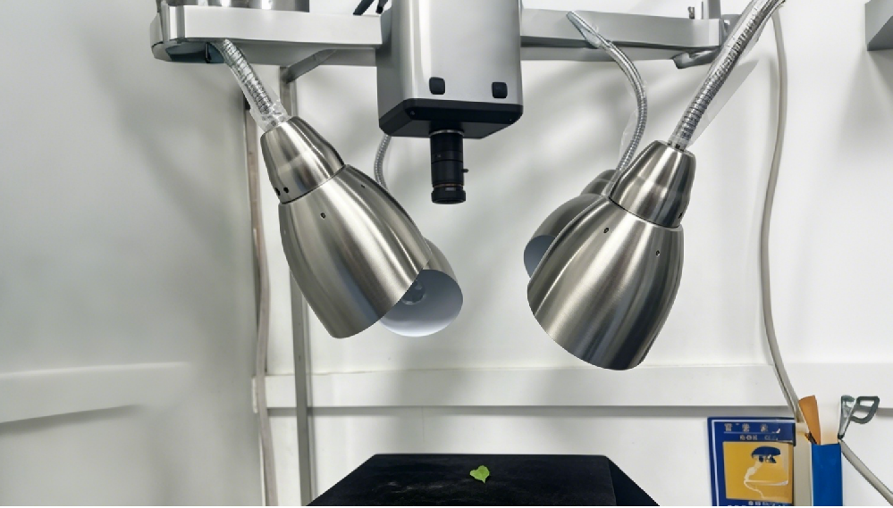 高光譜成像賦能辣椒農(nóng)殘監(jiān)測：從實驗室到田間的無損檢測新路徑