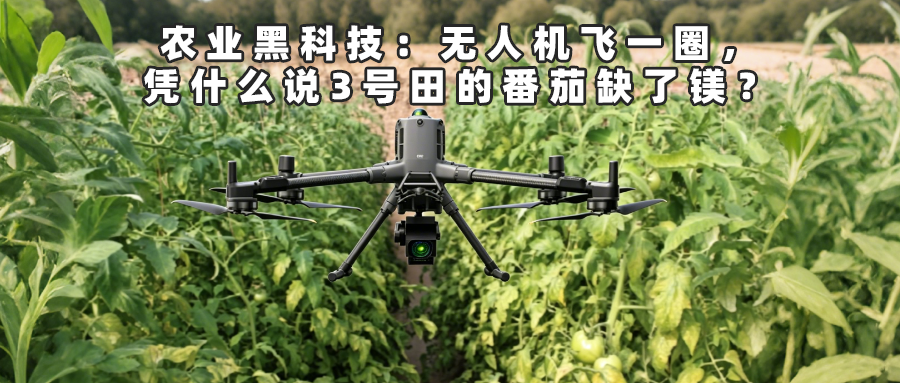 農(nóng)業(yè)黑科技：無人機(jī)飛一圈，憑什么說3號(hào)田的番茄缺了鎂？